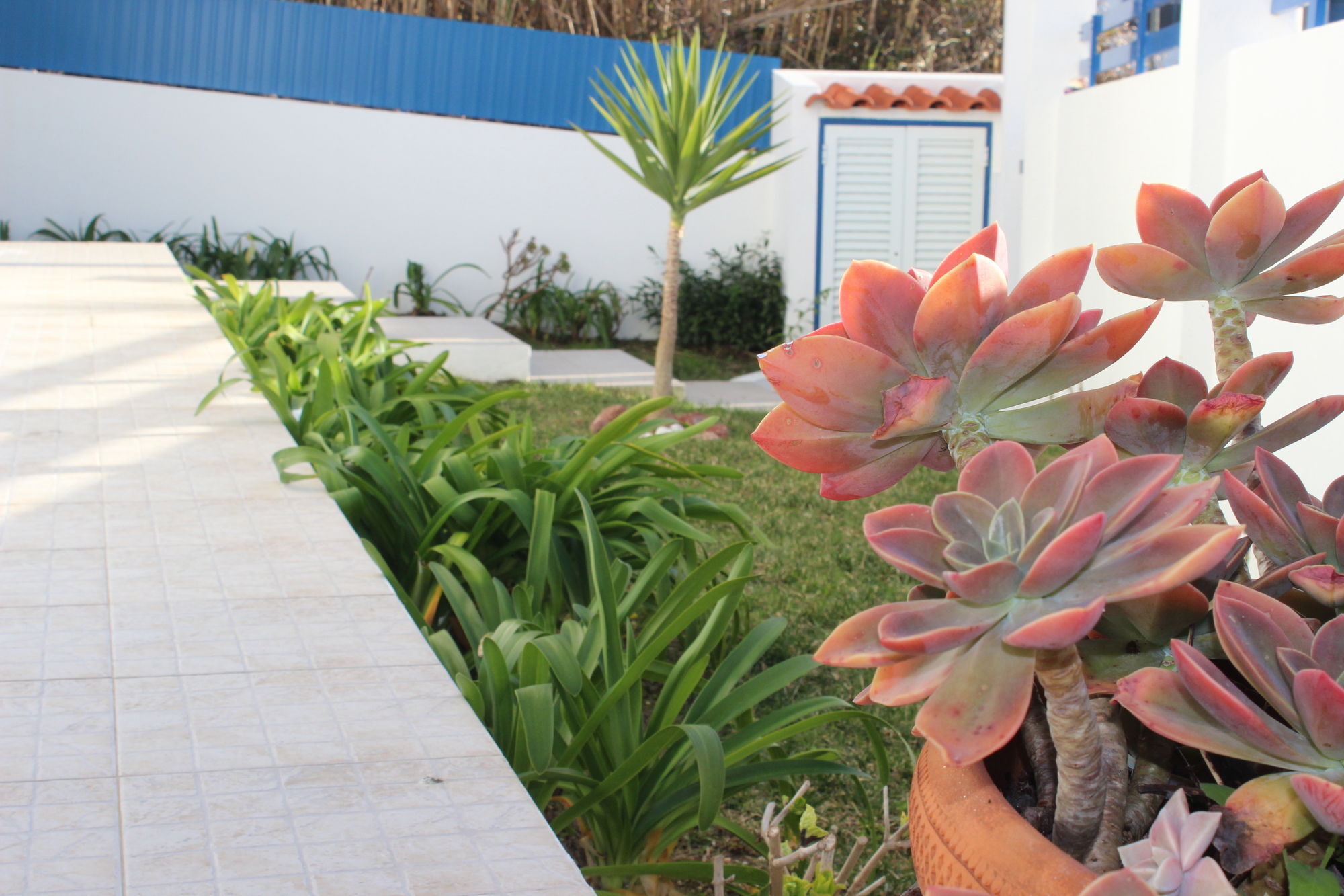 Ericeira Chill Hill Hostel & Private Rooms - Sea Food Exterior foto